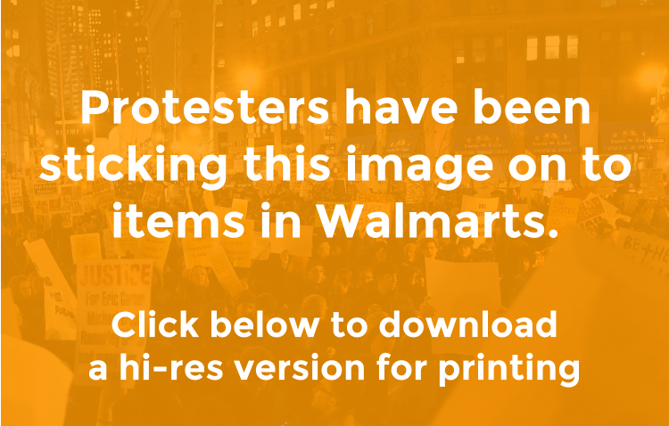 CLICK HERE TO DOWNLOAD THE STICKER IMAGE Protester — Jan 20, 2015